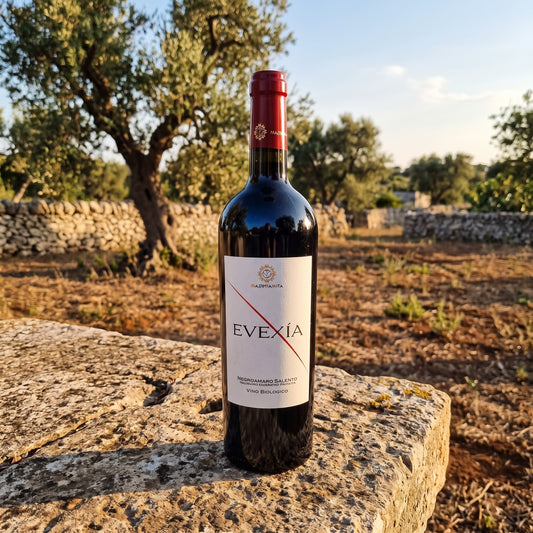 evexìa salento vino rosso negroamaro bottega imperiale el bottegaio enoteca